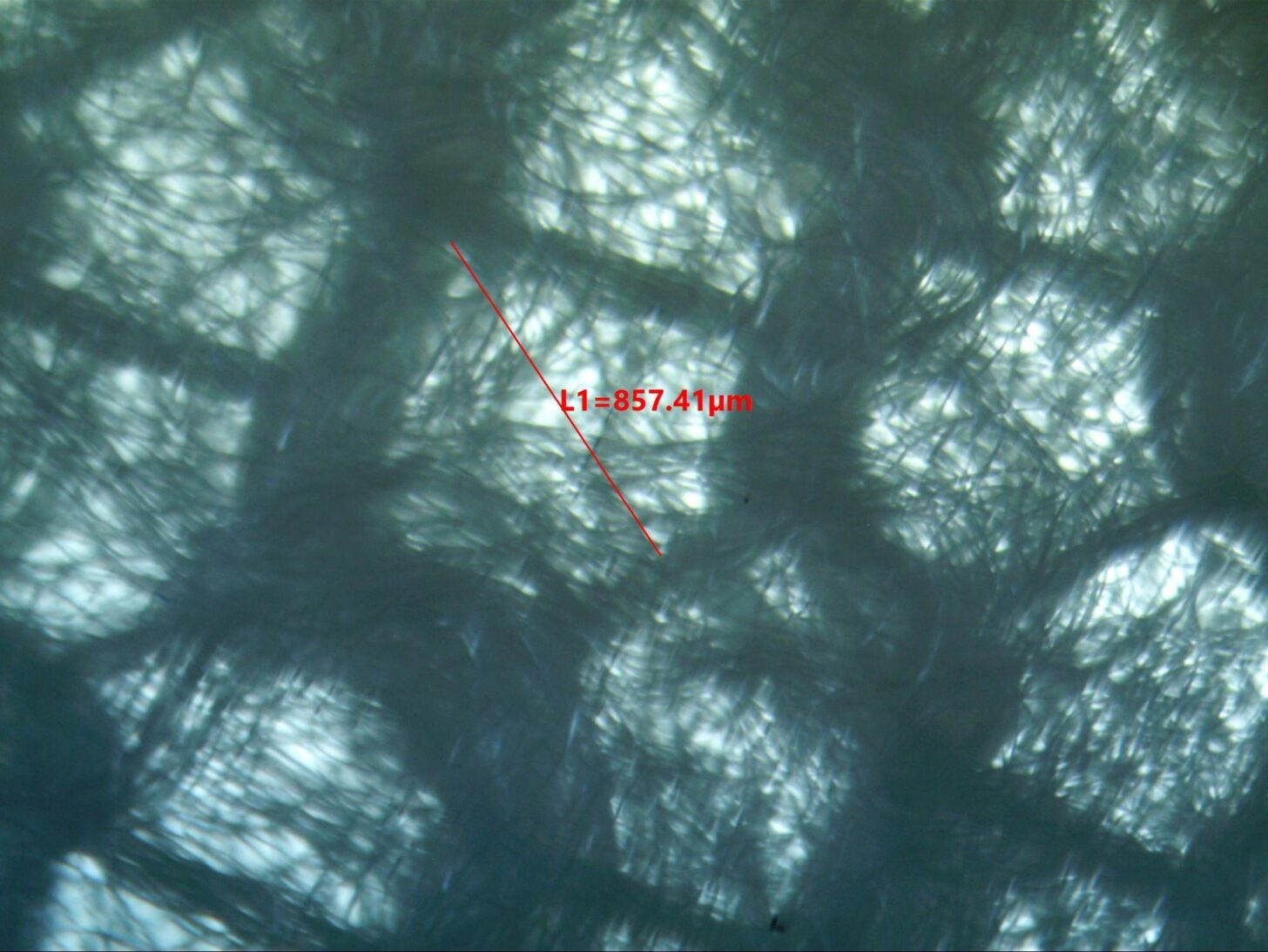 Polartec Alpha，低倍率显微照片显示支撑网格(网格孔径约850微米)。