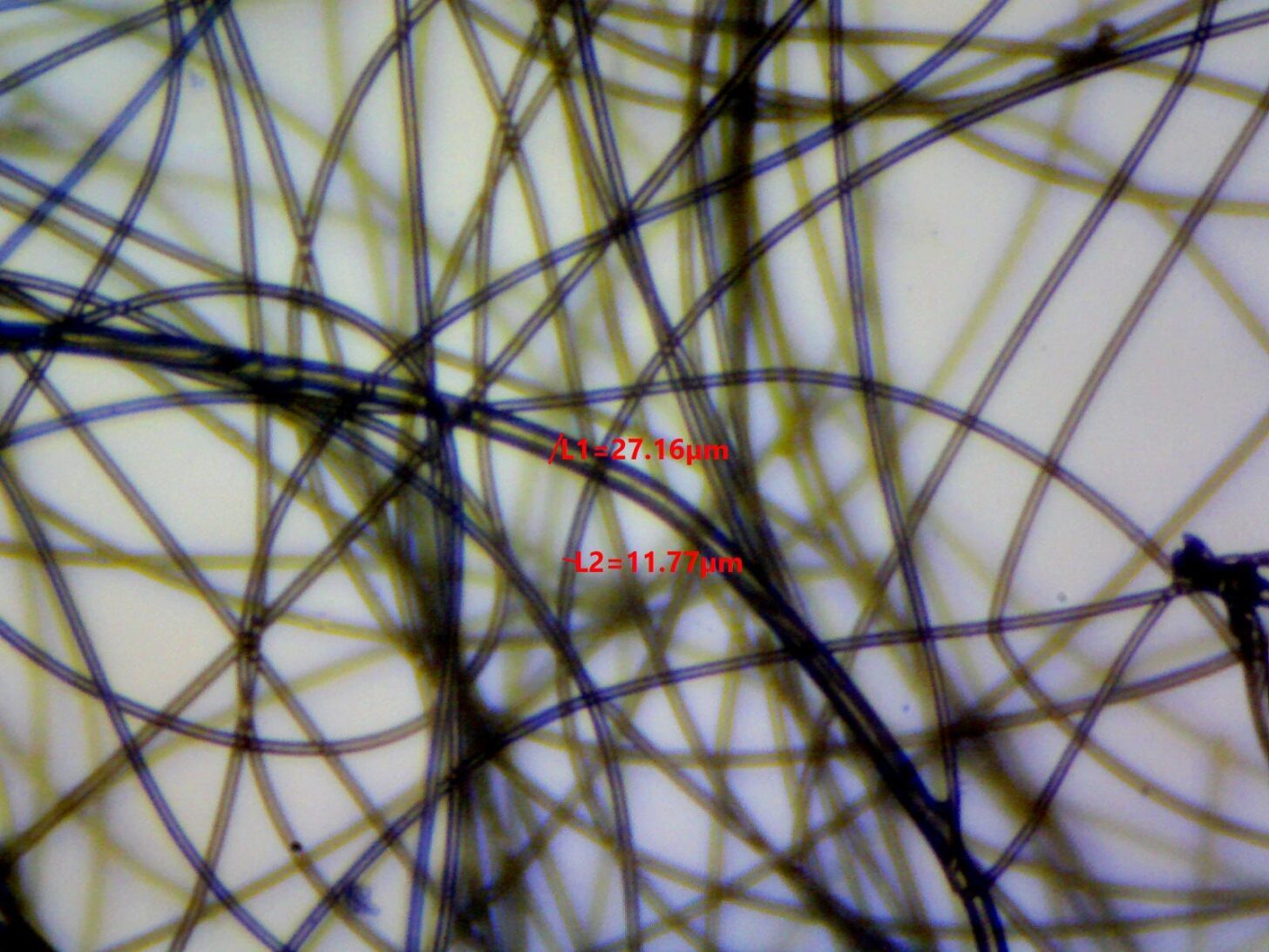 硅酮粘结纤维填充显微照片显示纤维直径测量为14.00,26.82，和43.87微米。