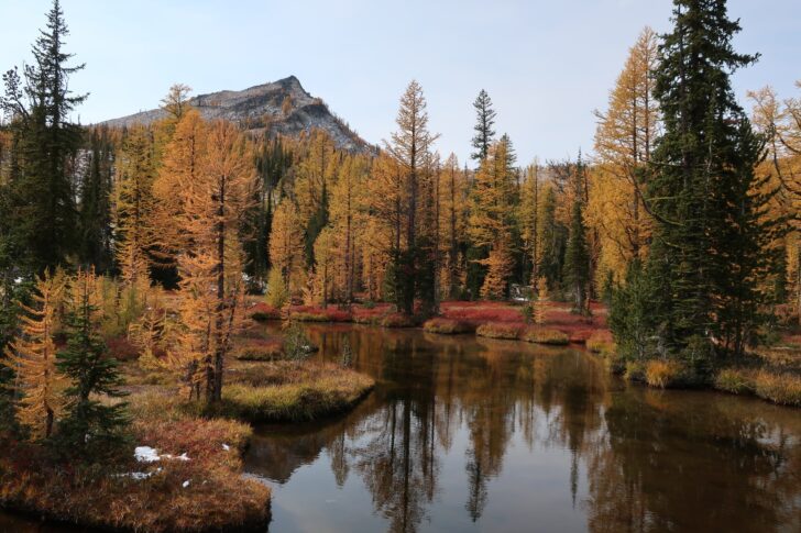 浅湖映着秋叶。在背景中，一座孤零零的山峰耸立在森林之上。