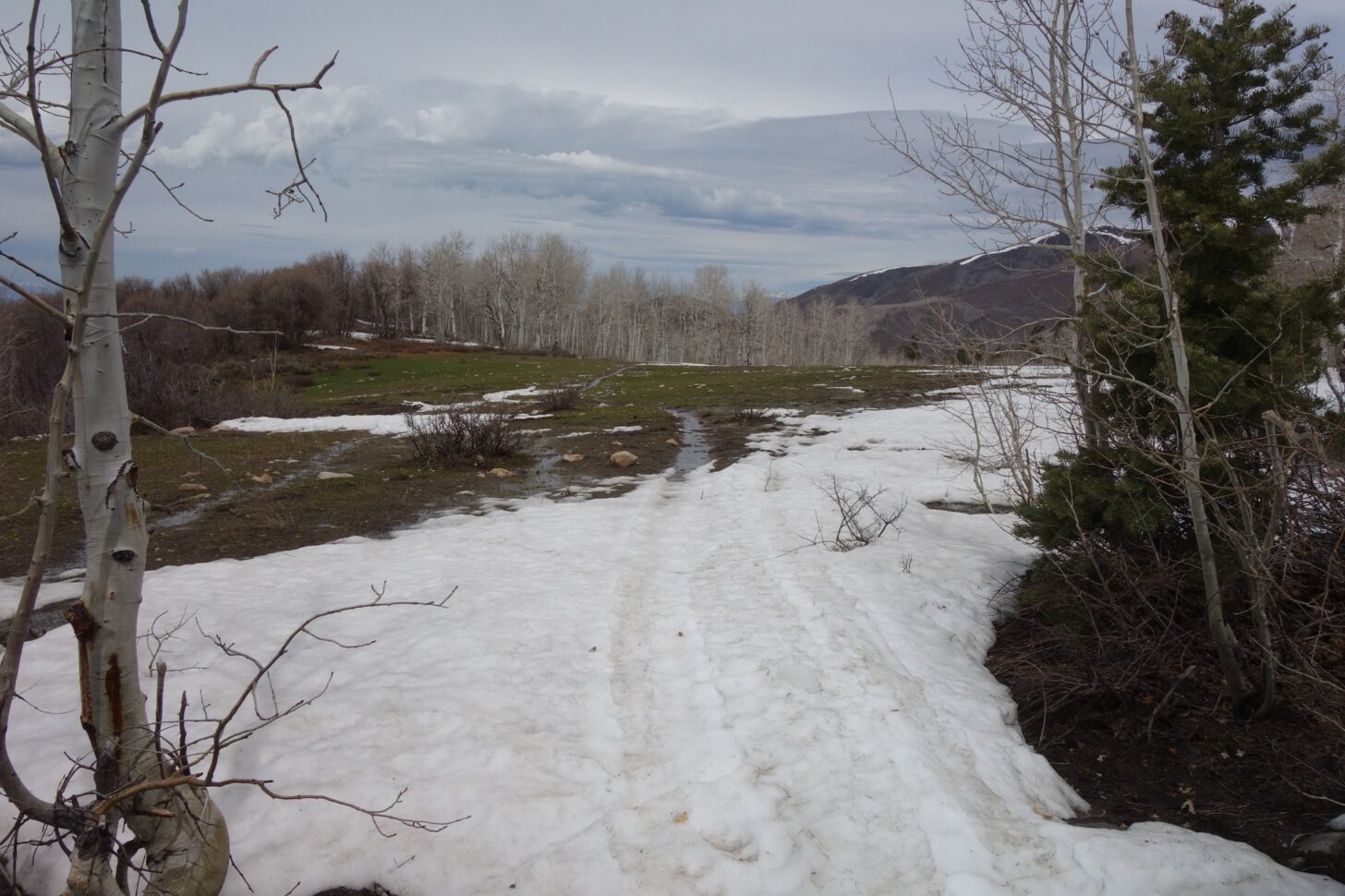 如果你有自然主义的倾向，你也会在过渡季节滑过雪和泥。