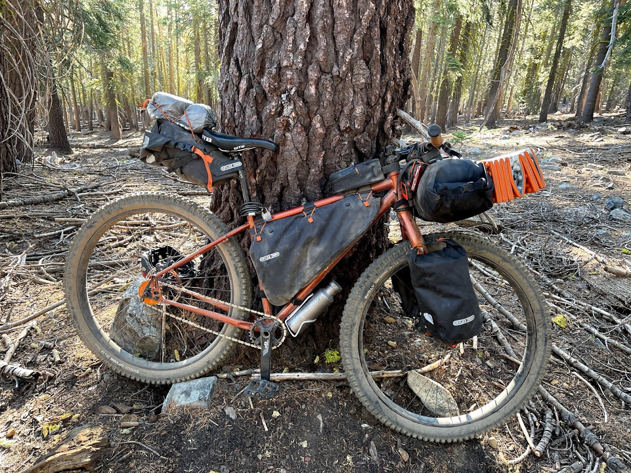 一辆自行车靠在一棵树上。它装载了各种自行车包装齿轮。