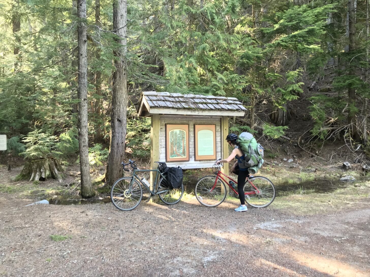 在宁静的森林里，一名女子骑着自行车，读着指示牌