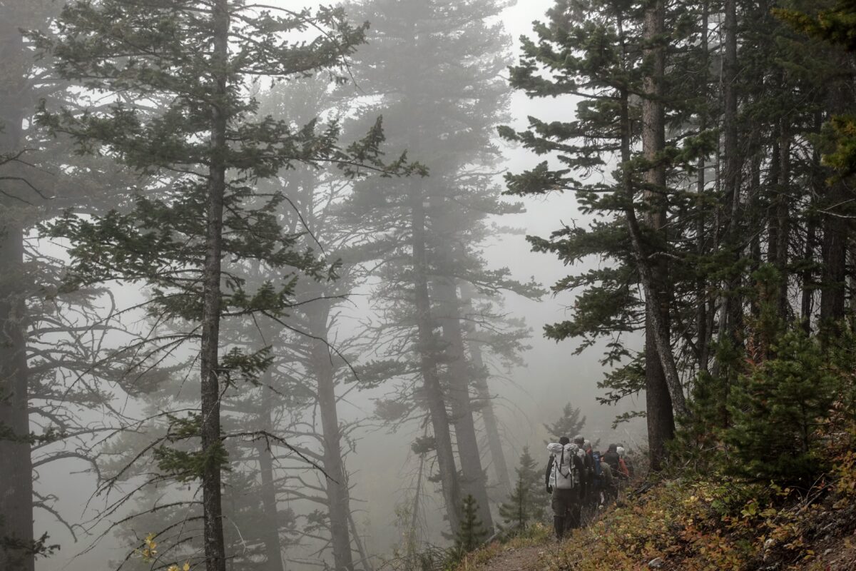 一群徒步旅行者在森林里，在雨中行走