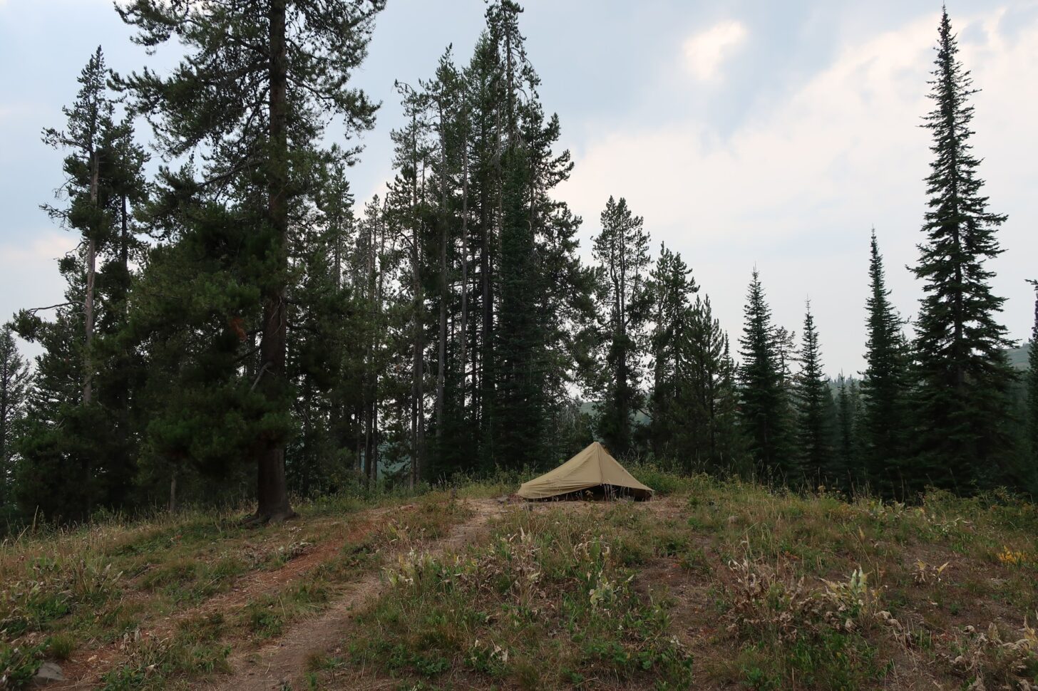日落时分林中的帐篷。
